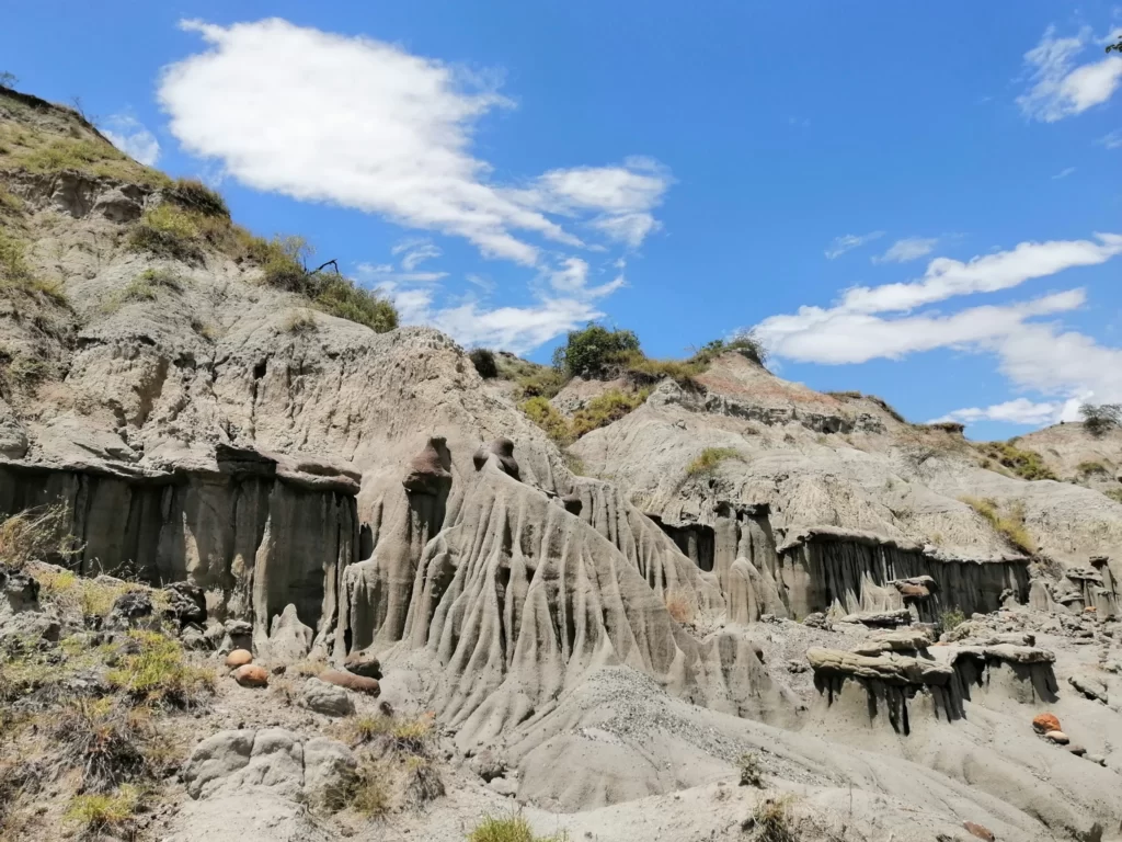 Excursión Terrestre Al Desierto De La Tatacoa, Aventura Desértica Y Piscilodo., ¡Acompáñanos el viernes 4 de agosto de 2023!