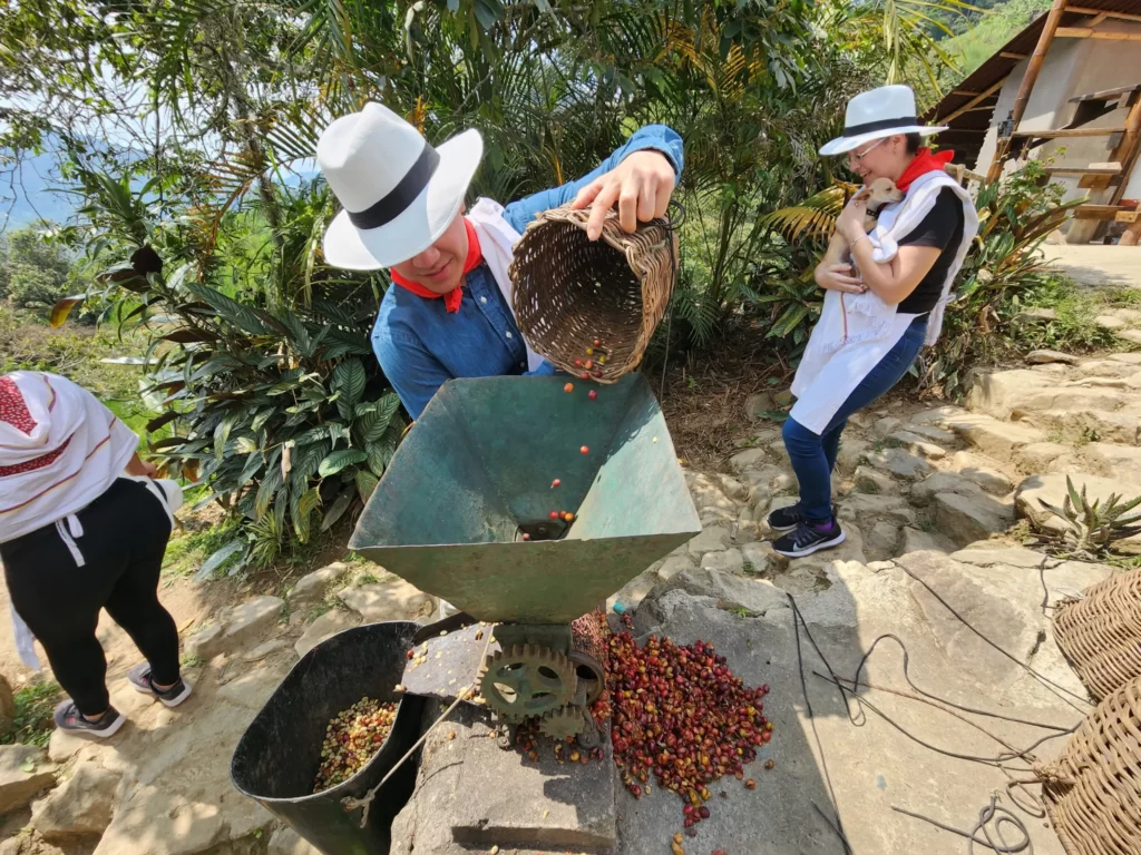 Coffee Tour En Medellín – Experiencia Cafetera Tour Del Café, ¡Empaca tu maleta y vámonos el viernes 10 de noviembre de 2023!