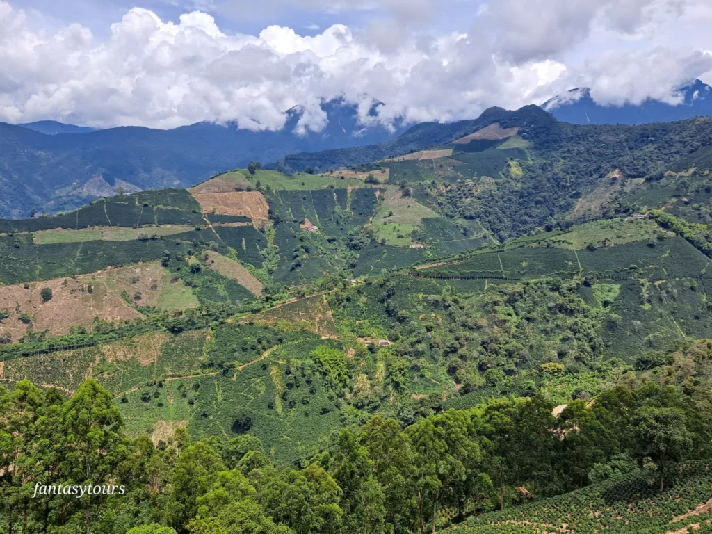 Betania: Machu Picchu Antioqueño, ¡Descubre este destino el domingo 17 de diciembre de 2023!