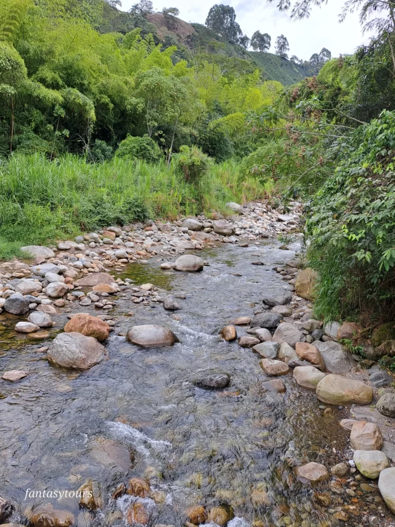 Betania: Machu Picchu Antioqueño, ¡Comparte en familia el domingo 3 de diciembre de 2023!