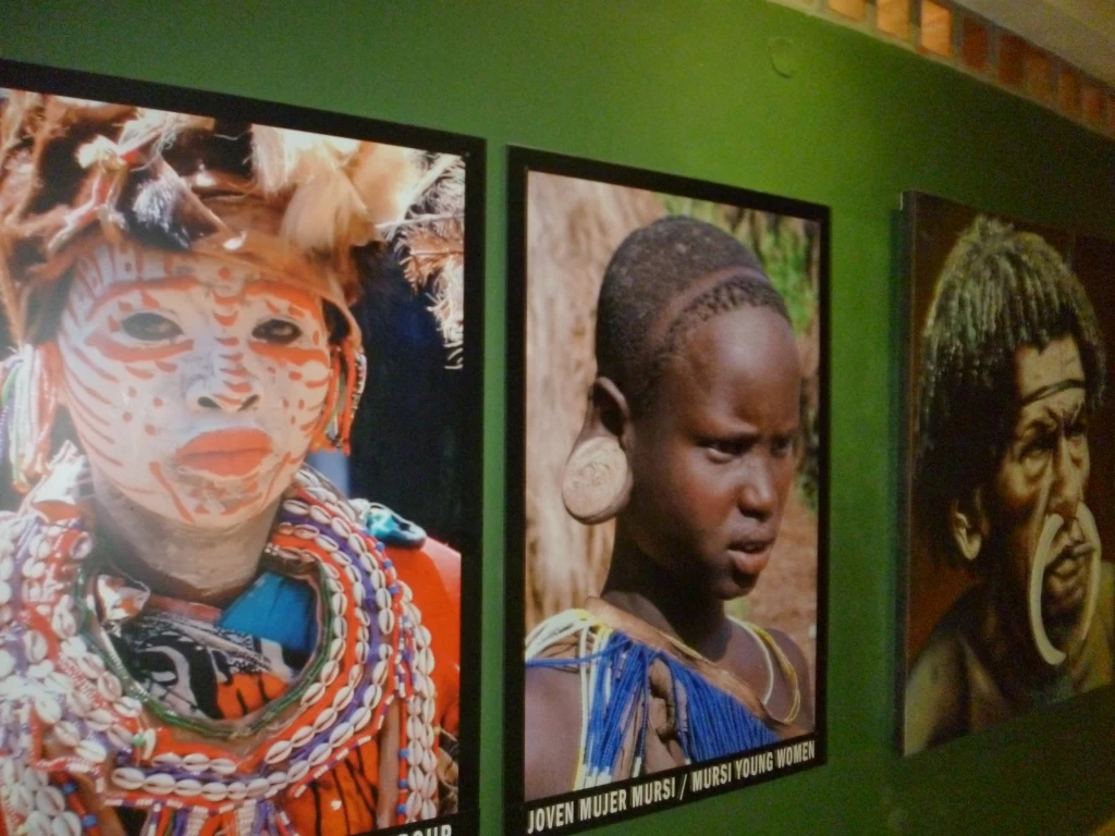 Tour A La Hacienda Nápoles Con Ingreso A La Sabana Africana Museo Y Zonas Húmedas Listos para viajar el jueves 12 de septiembre de 2024nbspMedellin Travel by fantasytours Planes turísticos en Santa Fe de Antioquia Medellín Guatapé y Nápoles